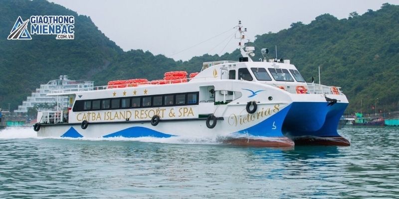 Đường Đi Cát Bà - Hướng Dẫn Chi Tiết Từ A Đến Z